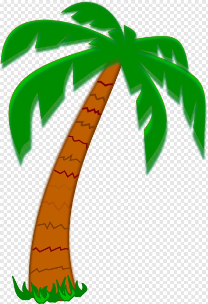 palm-tree # 472234