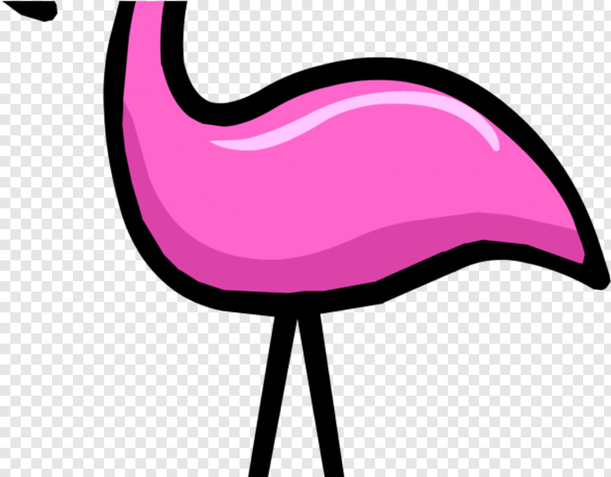 flamingo # 1004109