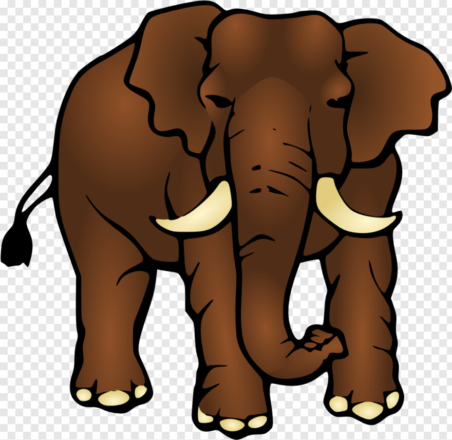 elephant # 469155