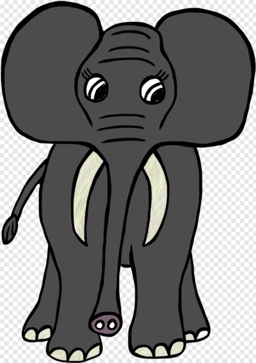 elephant # 511870