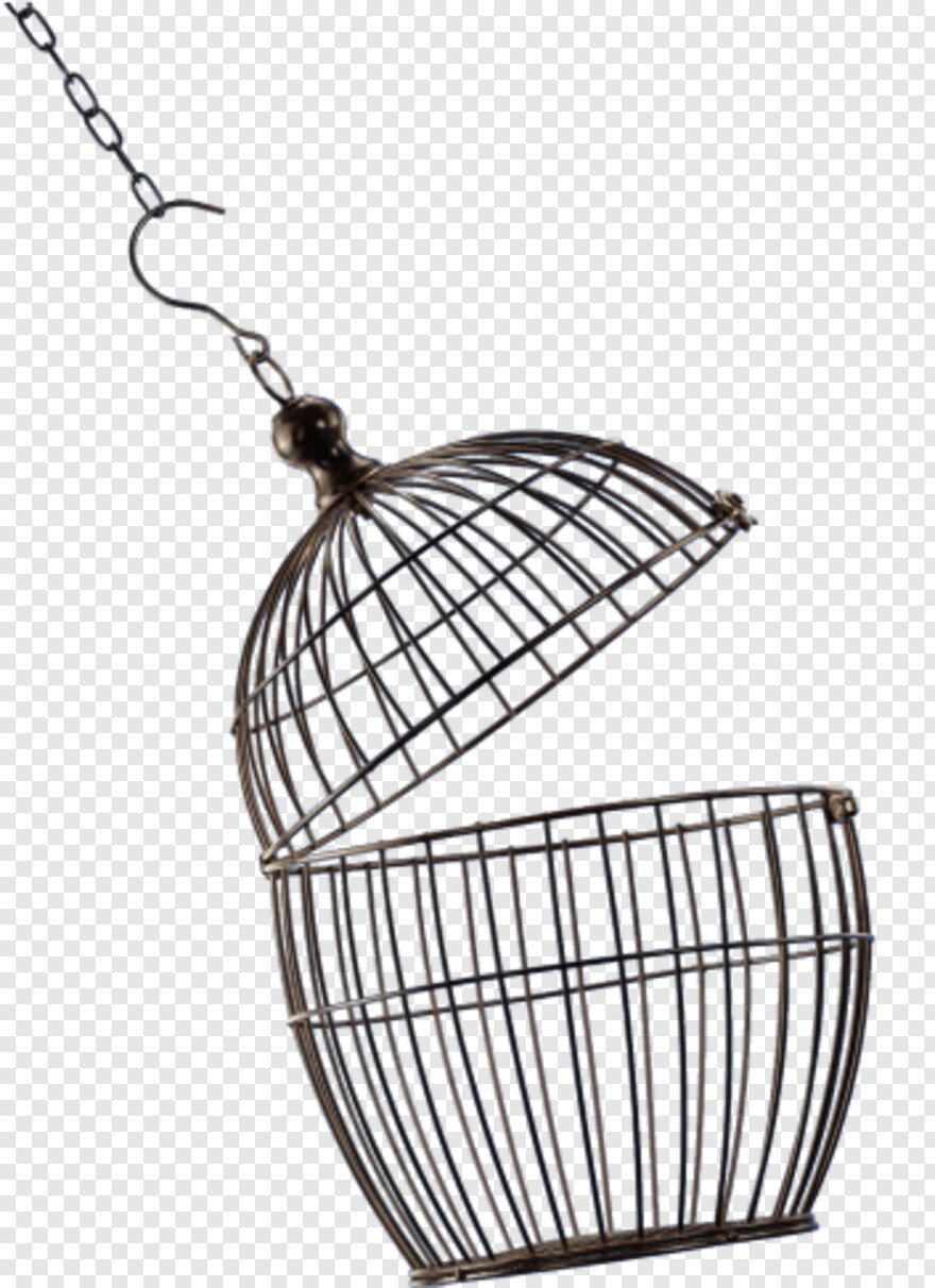 bird-cage # 360010
