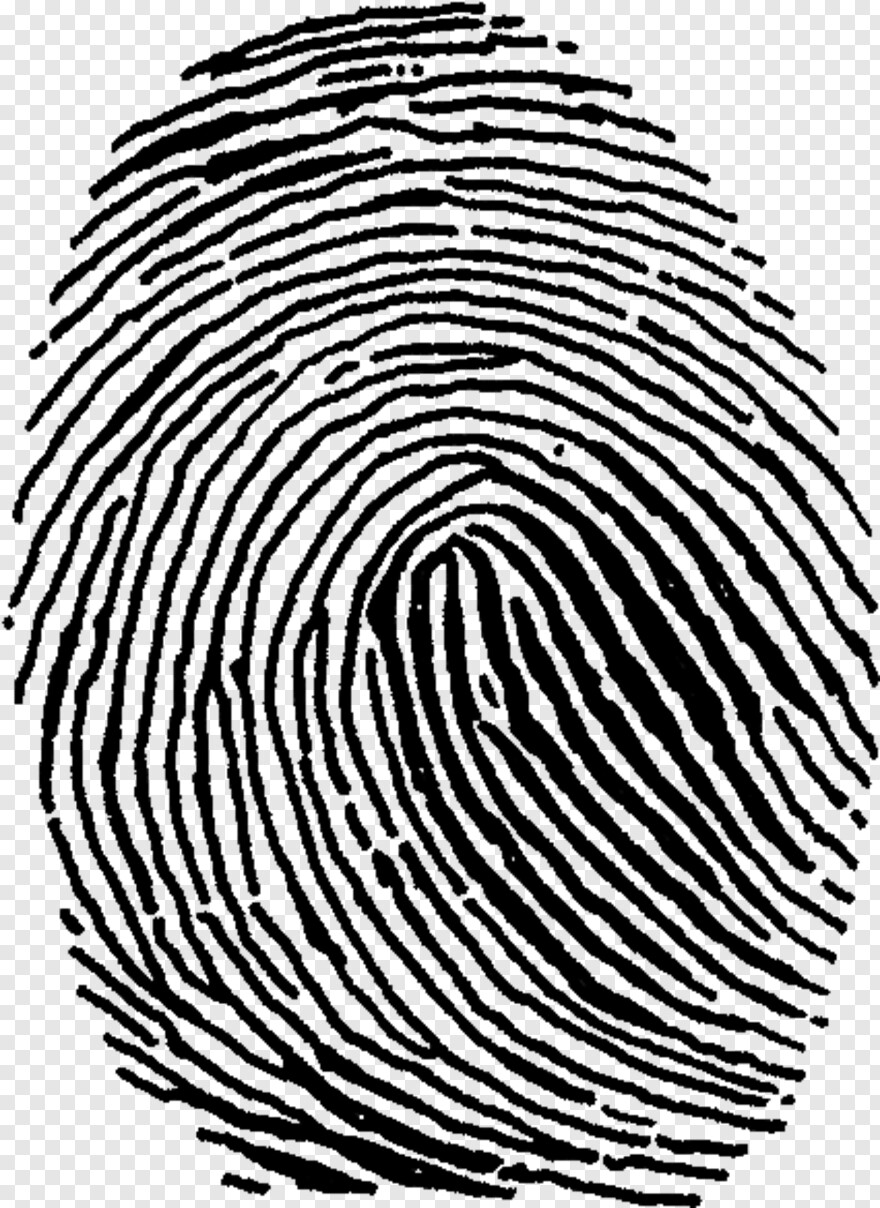 fingerprint # 478243
