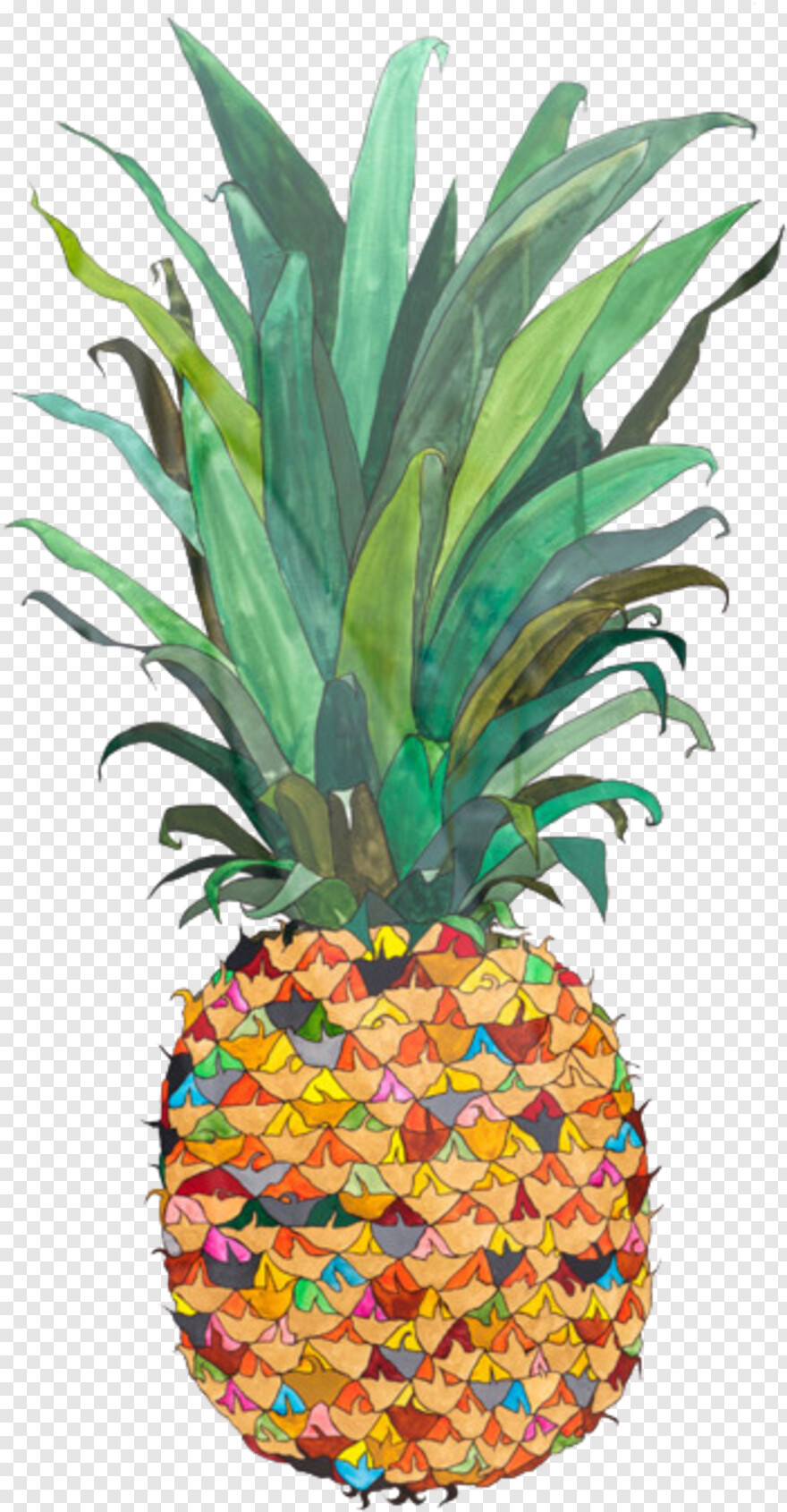 pineapple # 1059132