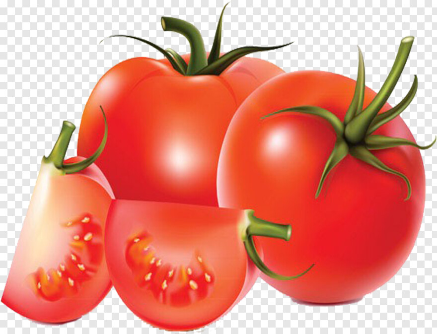 tomato # 631289