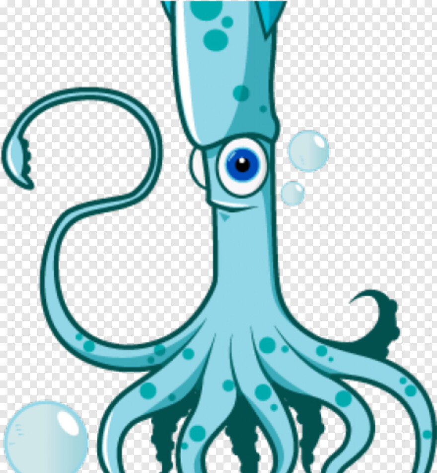 squid # 430215