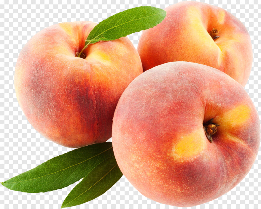peach # 810110