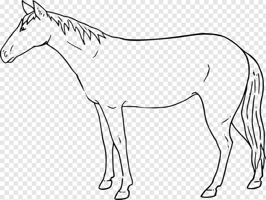 mustang-horse # 1059758