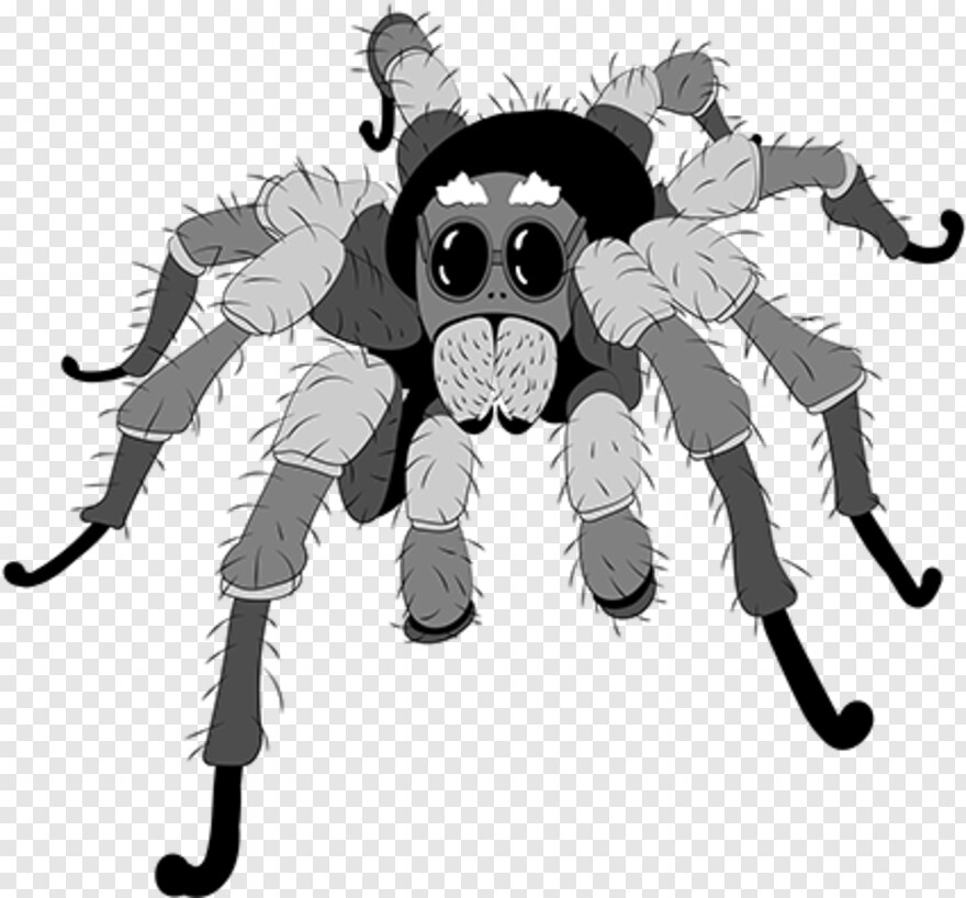 tarantula # 605769