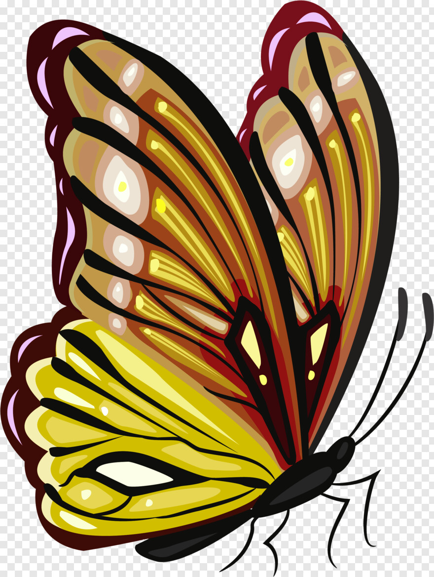 monarch-butterfly # 1094940