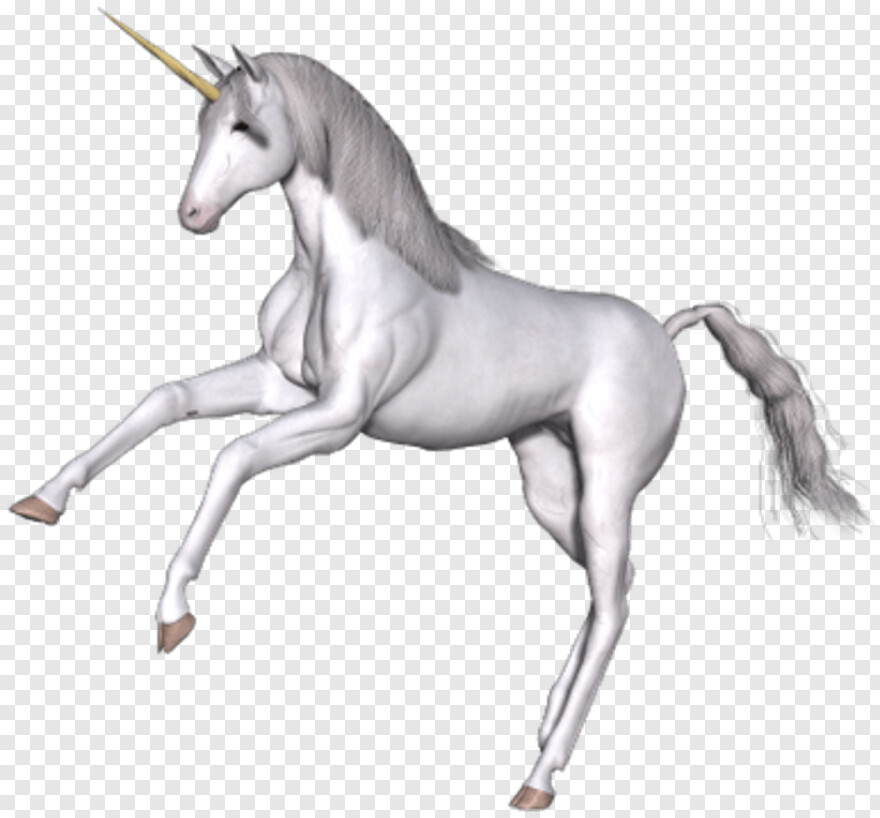 unicorn # 810725
