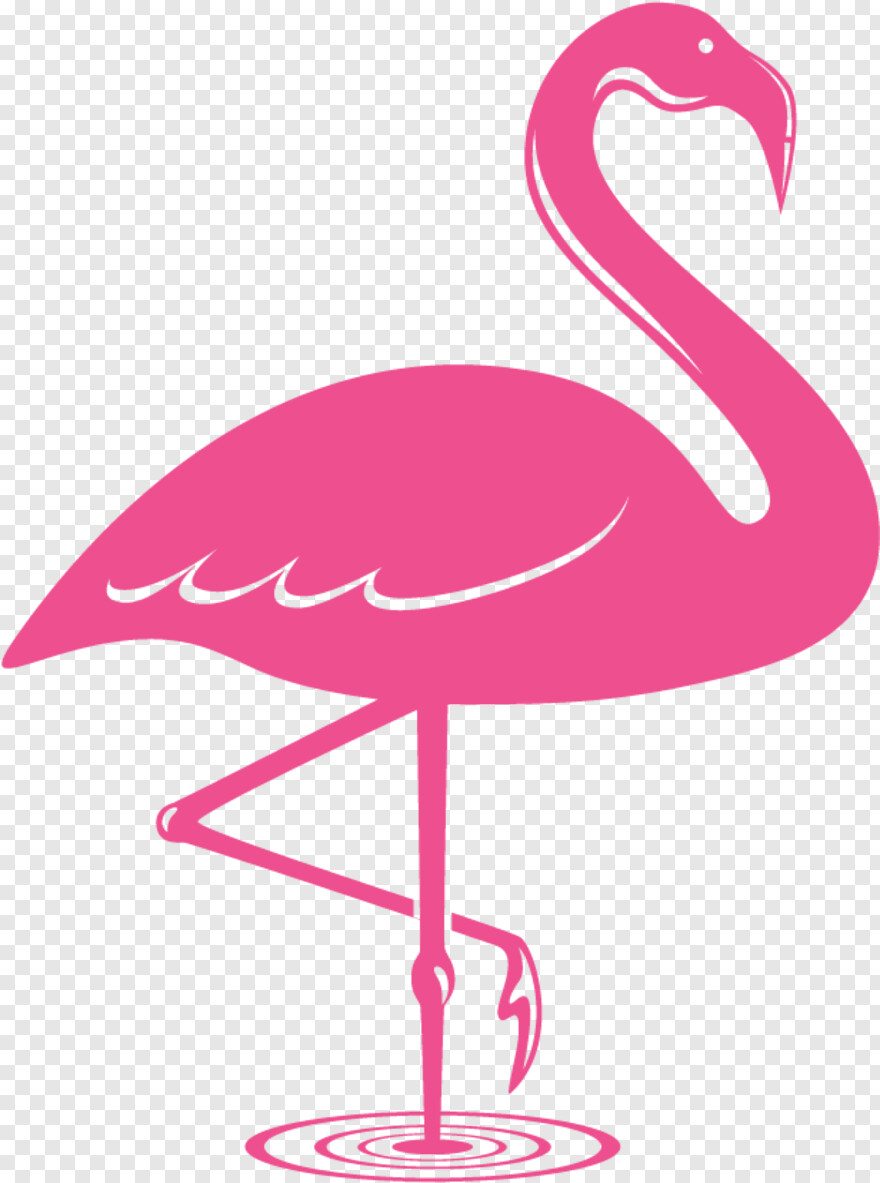 flamingo # 828783