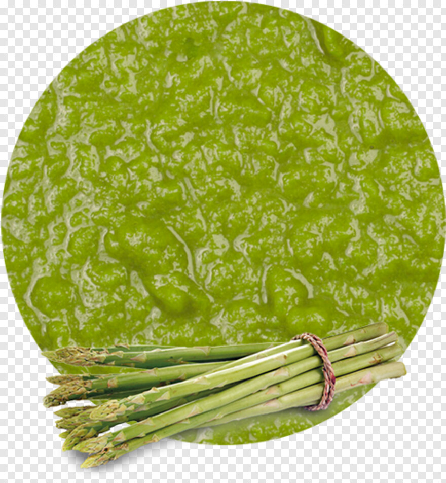 asparagus # 468461