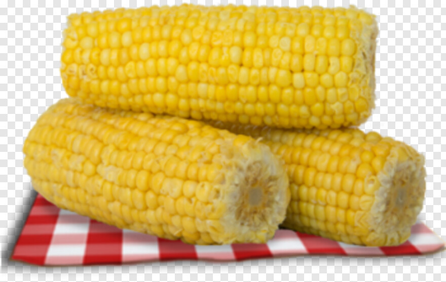 sweet-corn # 991329