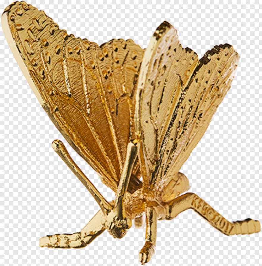 monarch-butterfly # 1094618