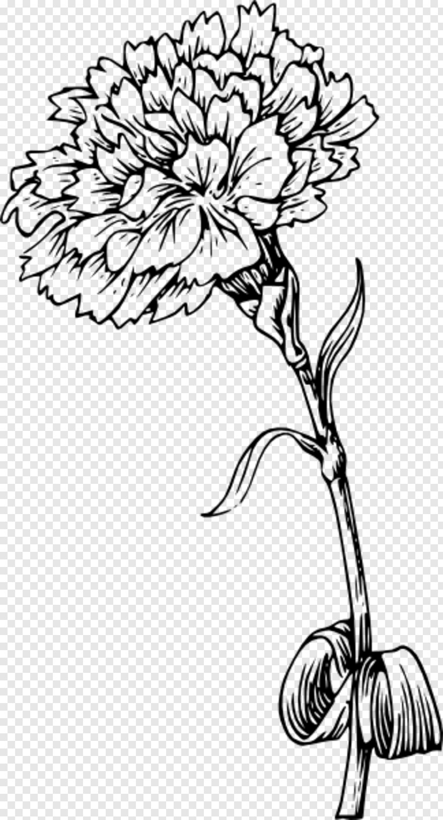 flower-drawing # 384784