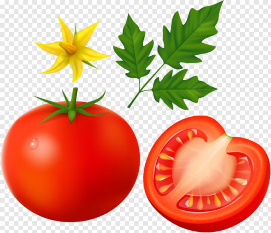 tomato # 601326