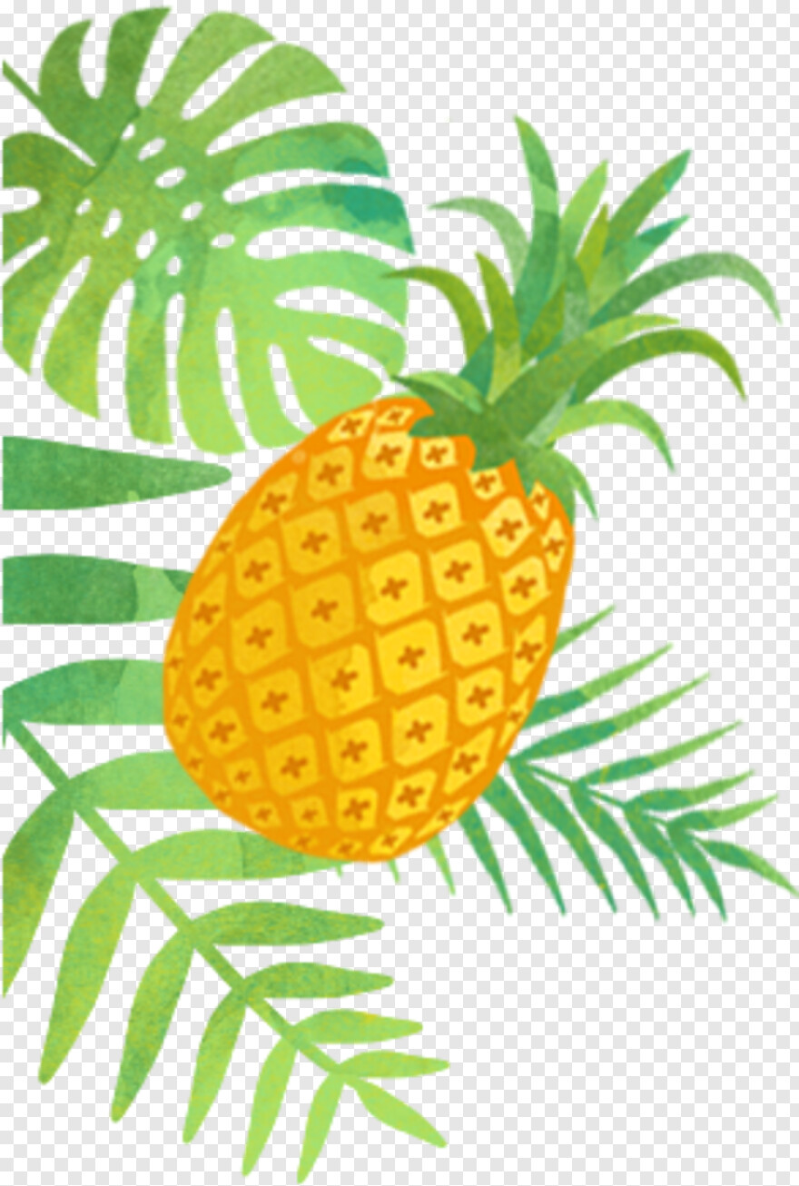 pineapple # 828763