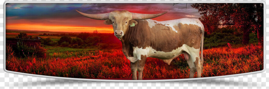 texas-longhorns-logo # 408386
