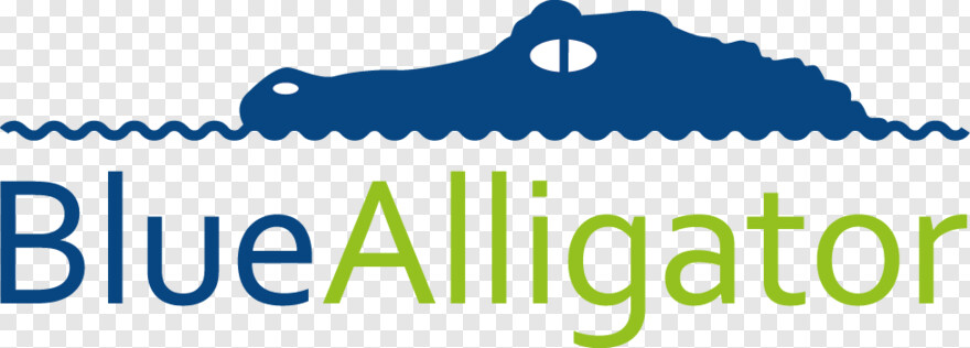 alligator # 538170