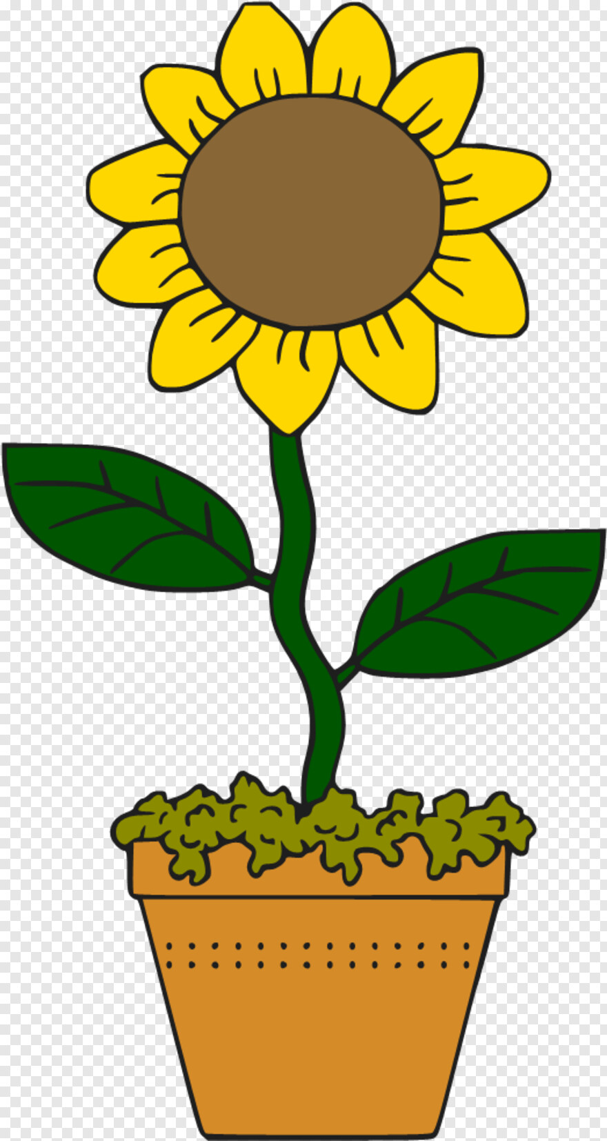 sunflower # 1057656