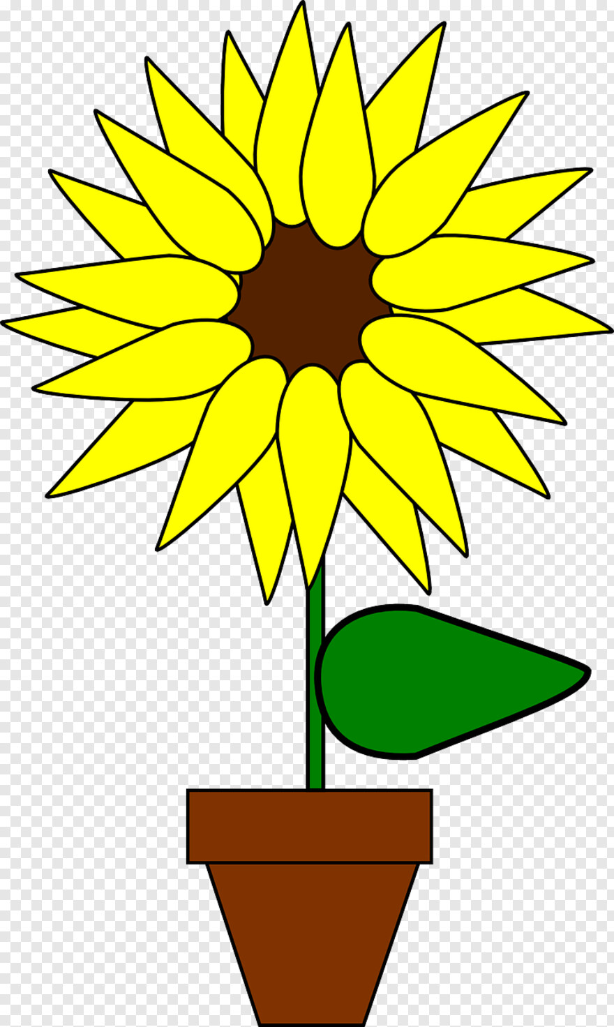 sunflower # 999513