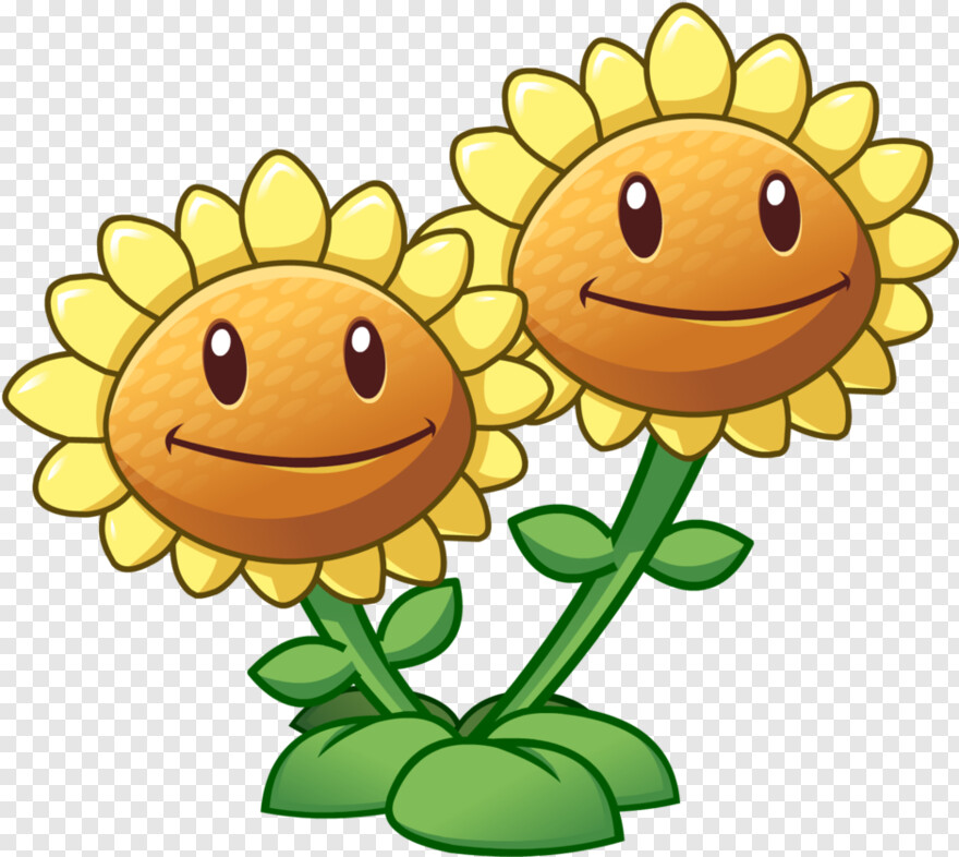 sunflower # 932665
