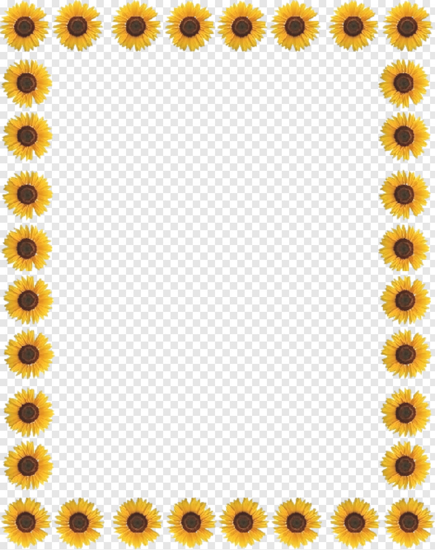sunflower # 974534