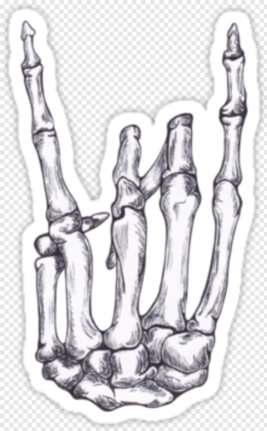 skeleton-hand # 456739