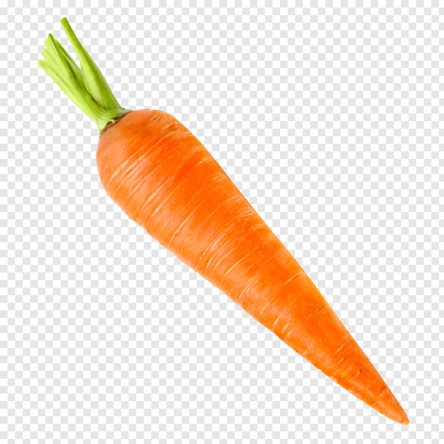 carrot # 1061170