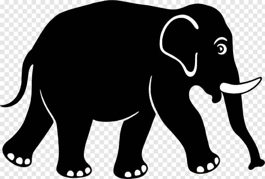 elephant # 540302
