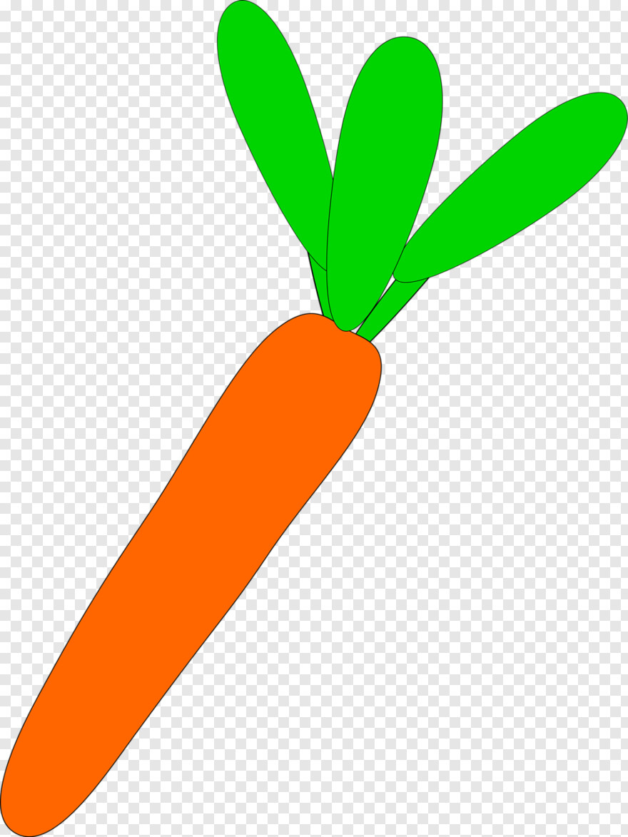 carrot # 1112089