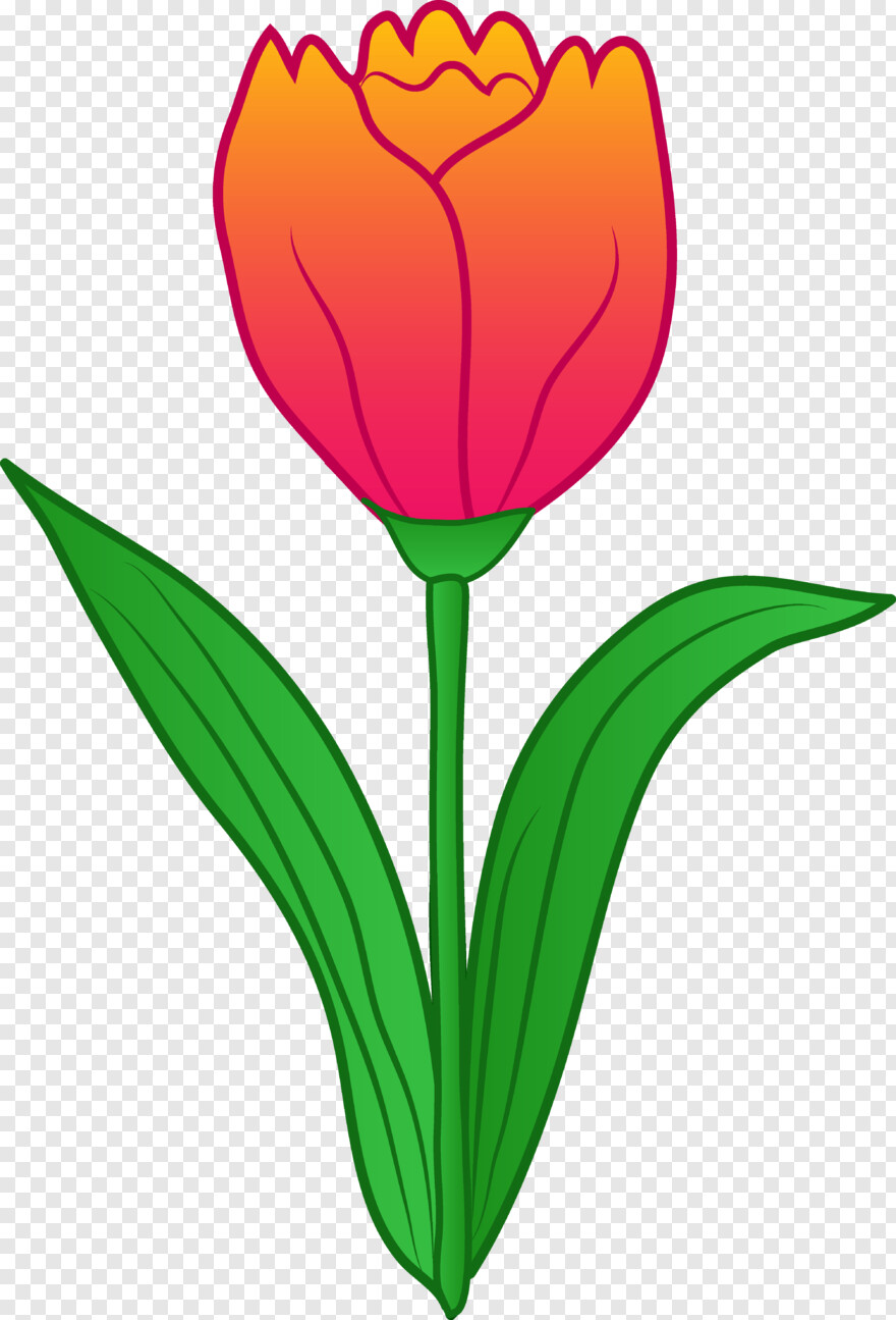tulip # 824516