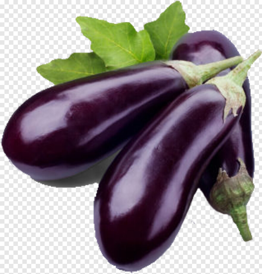 eggplant # 1112641