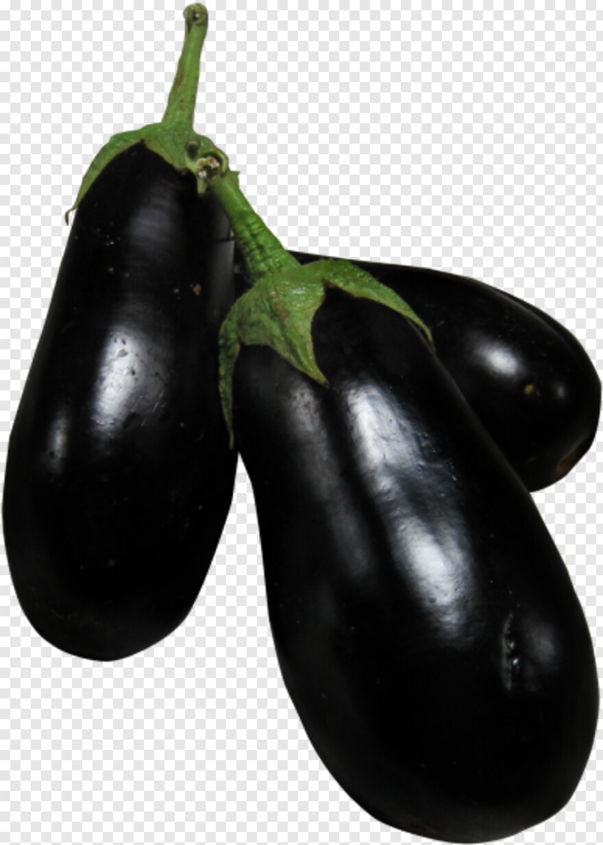 eggplant # 1112644