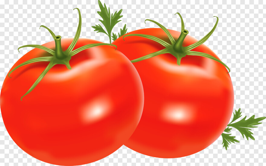 tomato # 601387