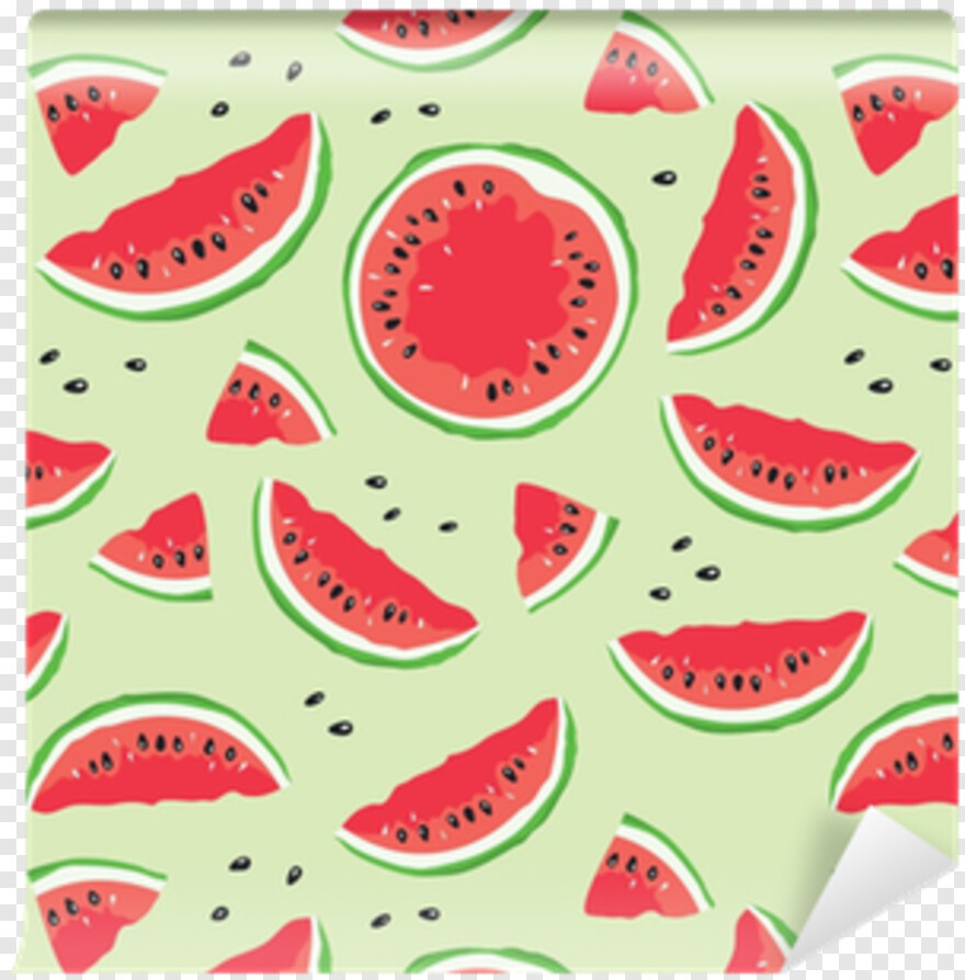 watermelon # 427171