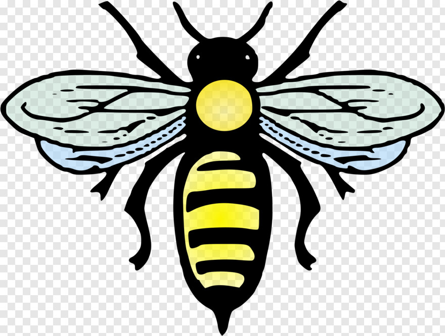 queen-bee # 382174