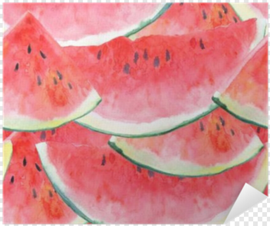 watermelon # 1037256