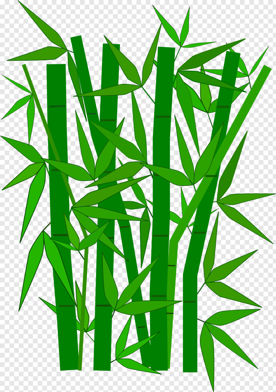 bamboo # 414139