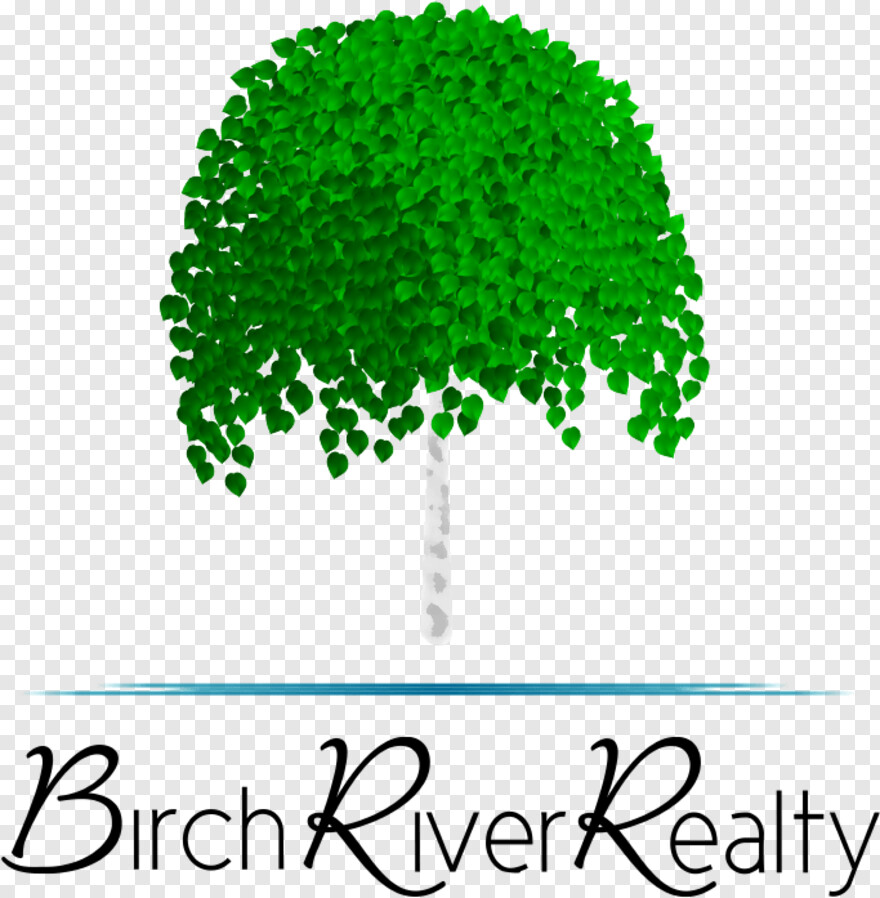 river-birch # 361450
