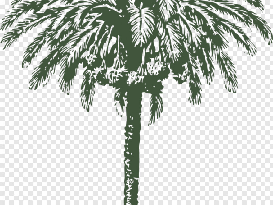 palm-tree-leaf # 459398
