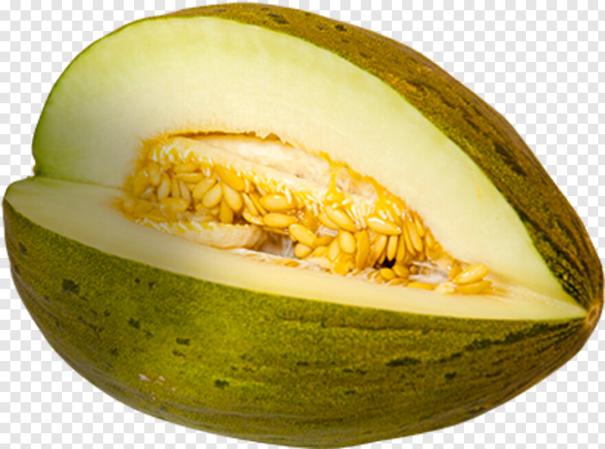 melon # 930875