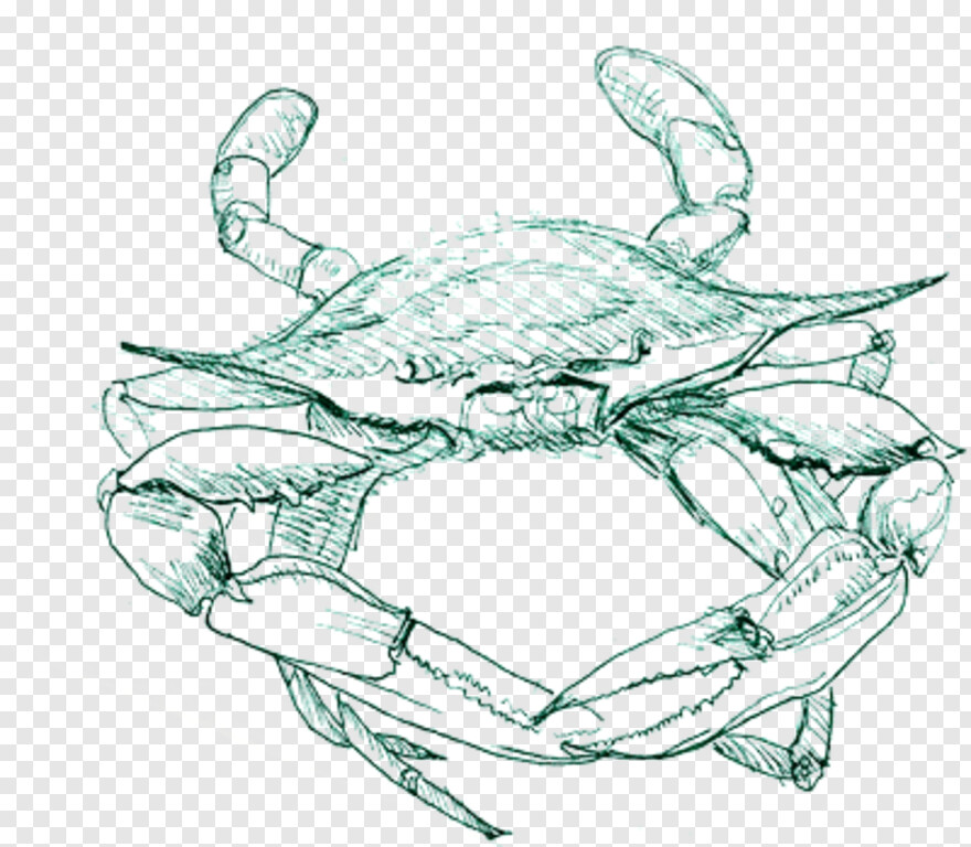 blue-crab # 948929