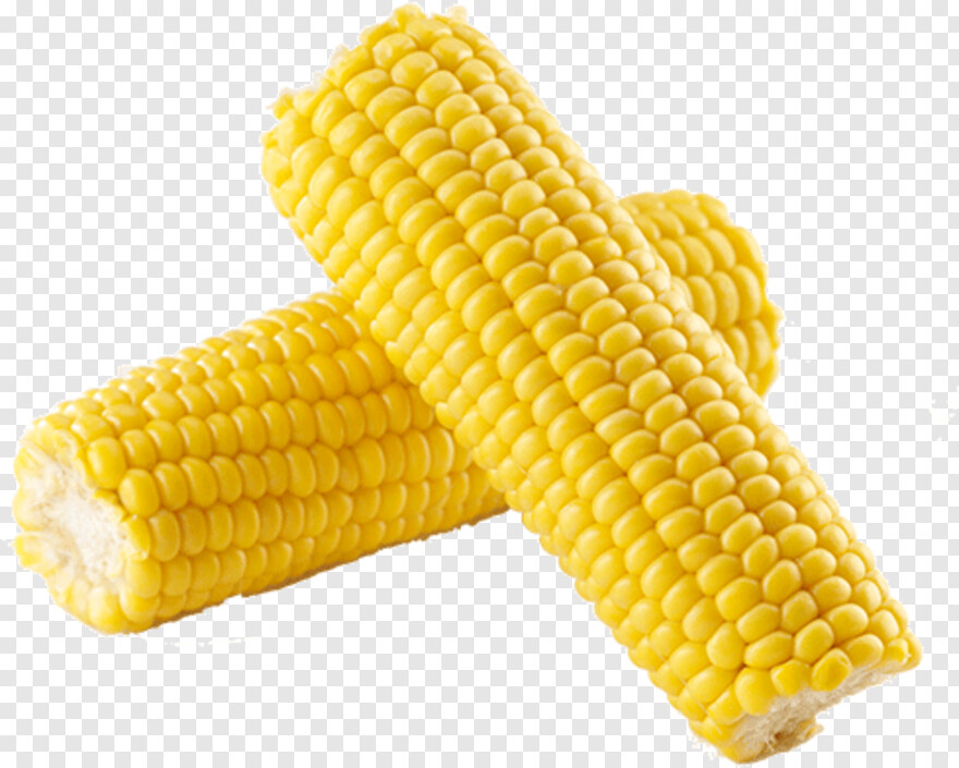 sweet-corn # 991335