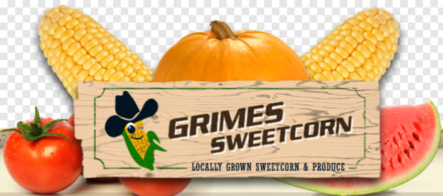 sweet-corn # 956552