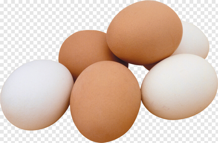fried-egg # 871948