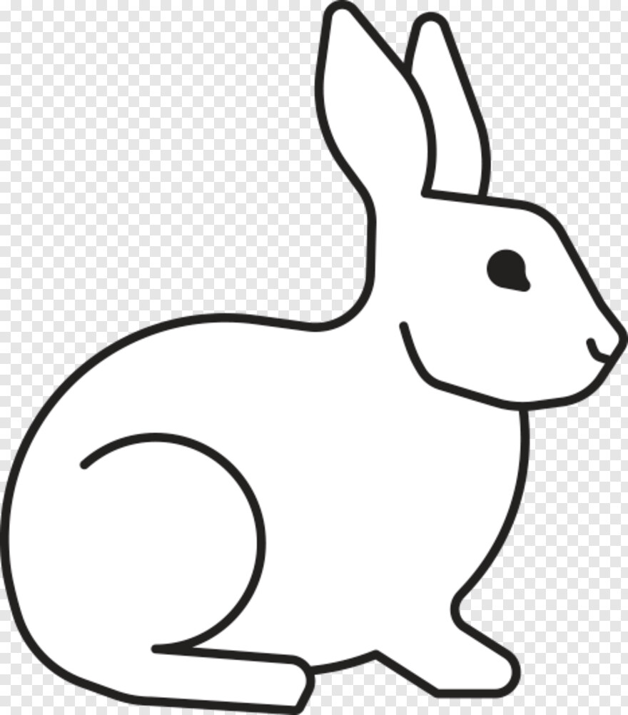 rabbit # 639956