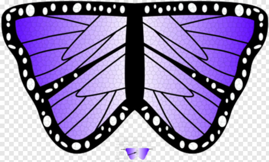 monarch-butterfly # 1094590