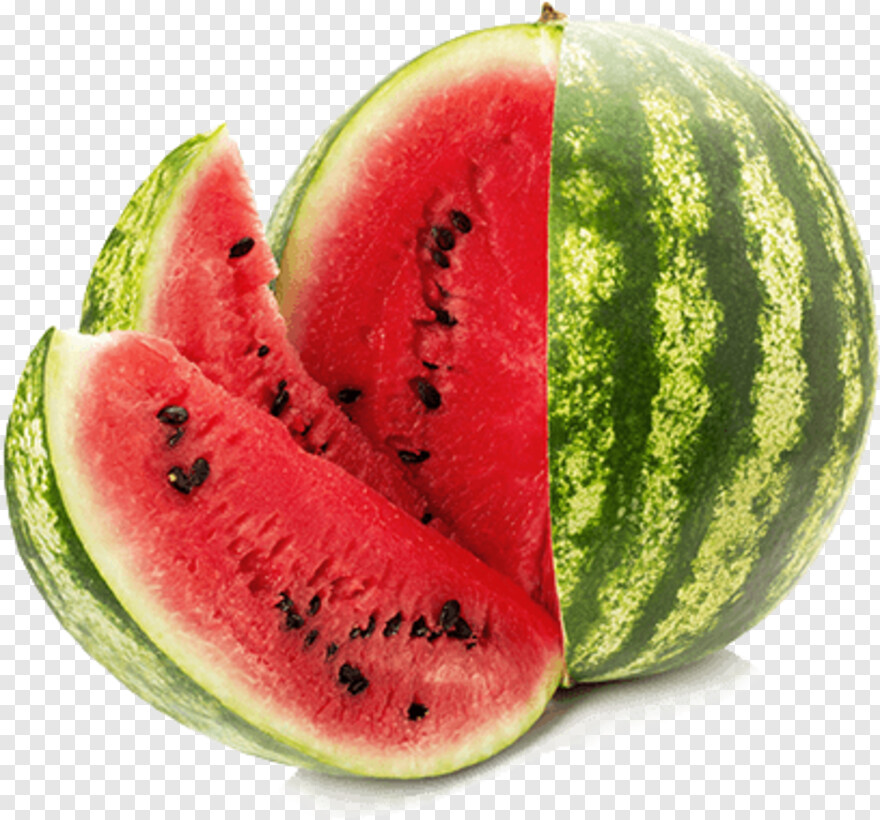 watermelon # 672450