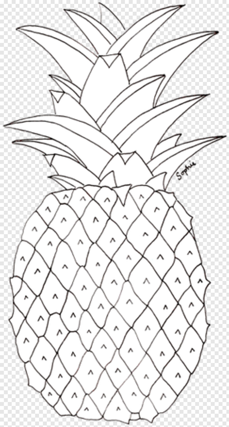pineapple # 980607